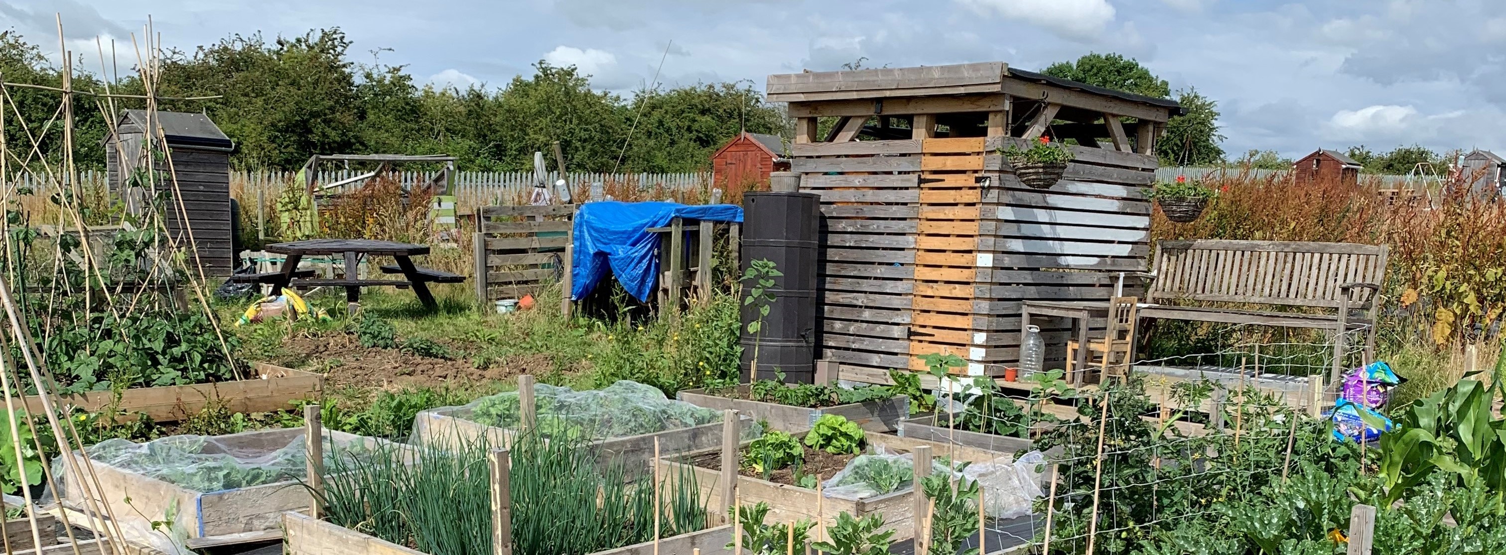 Berryfields allotments